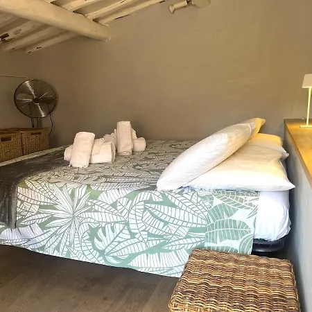 The Artist's Nest - Trastevere- Апартаменты Рим